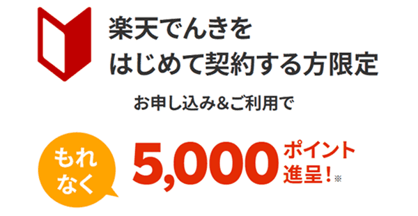 楽天でんき5000Pの説明画像